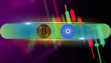 كاردانو (ADA) يرتفع بنسبة 14% وبيتكوين (BTC) يحافظ على 93 ألف دولار بعد تسجيل أعلى مستوى تاريخي (مراقبة السوق) - اكتشف التفاصيل!