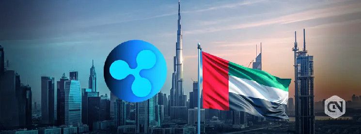 ريبل في الإمارات: دور XRP في توسع العملات المستقرة للدرهم - اكتشف المزيد!