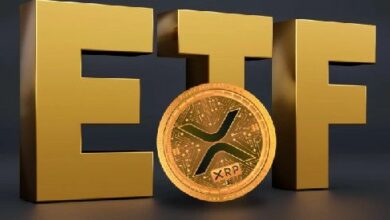 جدول زمني لموافقة صناديق XRP ETF والعملات البديلة الأخرى - اكتشف المزيد!