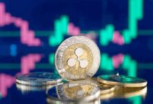 لماذا يمكن أن يصل سعر XRP إلى 8 دولارات بعد تحقيق أعلى مستوى له في 3 سنوات؟ اكتشف الآن!