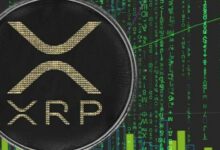 عندما يصل XRP إلى مستويات قياسية جديدة لأول مرة منذ سنوات: تعرف على أسباب وتوقعات الارتفاع الآن!