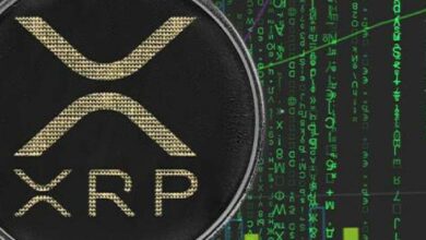 عندما يصل XRP إلى مستويات قياسية جديدة لأول مرة منذ سنوات: تعرف على أسباب وتوقعات الارتفاع الآن!