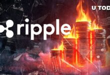 حرق كامل تقريبًا لرموز Ripple USD. هل الاقتراب من إعلان مهم؟ اكتشف التفاصيل الآن!