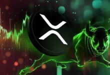 خبير تشفير متفائل بارتفاع سعر XRP إلى 30 دولار بعد إدراجه على روبن هود - اكتشف التفاصيل!