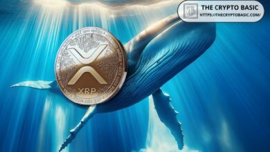 حيتان XRP تجمع 320 مليون رمز في 72 ساعة مع اقتراب XRP من دولار واحد - اكتشف المزيد!