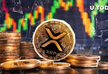 ارتفاع XRP بنسبة 7% بعد تسجيل بيتكوين لرقم قياسي جديد: اكتشف التوقعات المستقبلية!