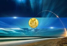 سعر دوجكوين (DOGE) يرتفع بنسبة 22% خلال ساعات: اكتشف السبب الأن!