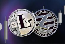 مجموعة Wrapped Litecoin (WLTC) تنطلق على Uniswap - اكتشف التفاصيل الآن!