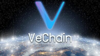 شراكة VeChain مع مستشفى رينجي تكشف عن إمكانات البلوكشين الواقعية - اكتشف التفاصيل الآن!