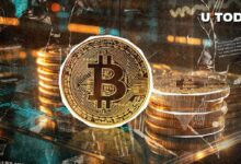 سيطرة البيتكوين (BTC) تصل إلى 60٪ رغم الانعكاس السعري الكبير - اكتشف التفاصيل!