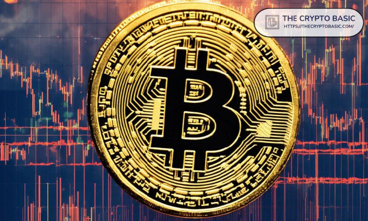 خبير السوق يتوقع: بتكوين تصل إلى 100 مليون دولار مع إعادة تقييم الدولار الأمريكي إلى ساتوشي - اقرأ التفاصيل!