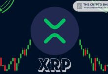 محلل بارز: هل سئمت من الضجيج حول XRP؟ لا يمكن تجاهل ارتفاع سعر XRP الحالي!