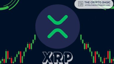 محلل بارز: هل سئمت من الضجيج حول XRP؟ لا يمكن تجاهل ارتفاع سعر XRP الحالي!