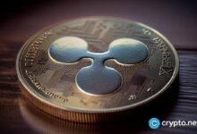 إلى أي مدى يمكن أن يصل سعر ريبل XRP في ديسمبر 2024؟ اكتشف التوقعات الآن!