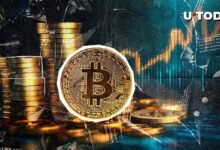 تصفيات العملات الرقمية تتجاوز 450 مليون دولار وسط ترقب وصول سعر بيتكوين إلى 100,000 – اكتشف التفاصيل الآن!