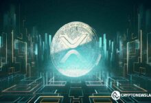 دور XRP قد حان الآن: محلل يستكشف أعلى سعر لـ XRP في هذا السوق الصاعد، هل فات الأوان لشراء ريبل؟ تابع الآن!