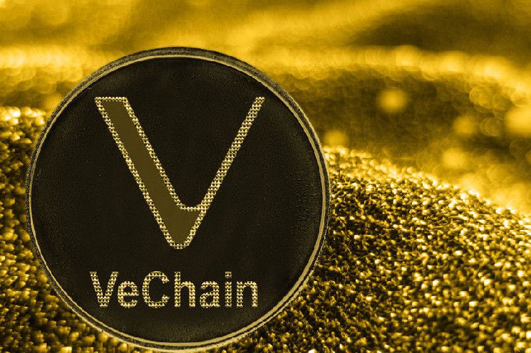 صعود VeChain مع استهداف المحللين لإعادة اختبار أعلى مستوى في 8 أشهر - اكتشف التفاصيل الآن!