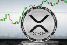 ارتفاع سعر XRP لأعلى مستوى في 3 سنوات مع تزايد التفاؤل حول تغيير هيئة SEC - اكتشف التفاصيل الآن!