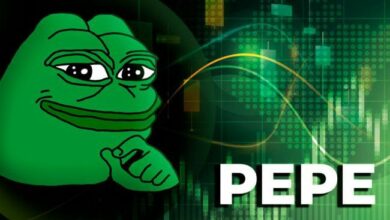 تصحيح عملة PEPE: تعرف على المستويات الرئيسية لمتابعة الانتعاش الآن