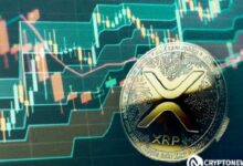 اختراق مثلث XRP المتماثل: ماذا تقترح التوقعات التاريخية لمستقبله؟ اكتشف الآن!