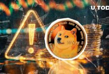 قيادي دوجكوين يُحذر بعد ارتفاع سعر DOGE بنسبة 145% - تَعرّف على التفاصيل!