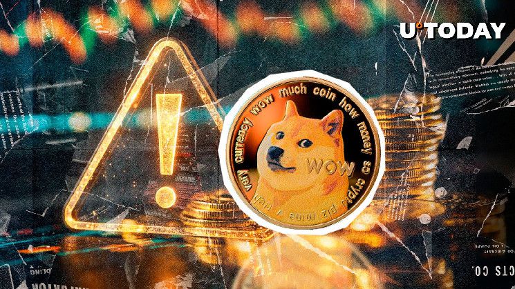 قيادي دوجكوين يُحذر بعد ارتفاع سعر DOGE بنسبة 145% - تَعرّف على التفاصيل!