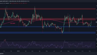 تحليل سعر ريبل: هل يقترب XRP من ارتفاع انفجاري إلى 0.7 دولار قريبًا؟ اكتشف الآن!