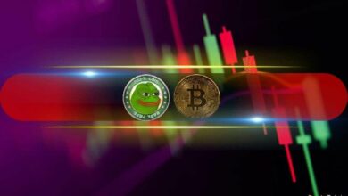 سعر بيتكوين متقلب عند 91 ألف دولار، وPEPE ينخفض بنسبة 7% يوميًا - اكتشف التفاصيل الآن! (مراقبة السوق)