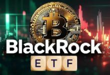 بلاك روك تزيد حصة ETF بيتكوين إلى 77 مليون دولار - اكتشف المزيد!