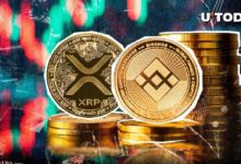 مجتمع XRP يترقب تفوق عملة بينانس كوين (BNB) - اكتشف المزيد الآن!