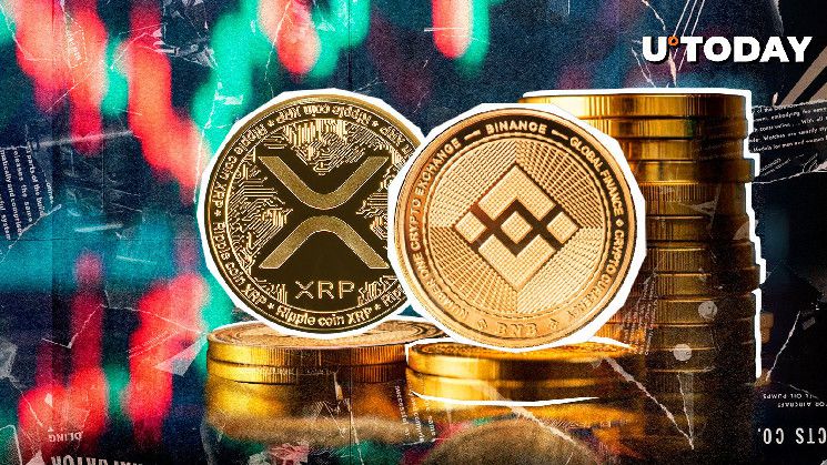 مجتمع XRP يترقب تفوق عملة بينانس كوين (BNB) - اكتشف المزيد الآن!