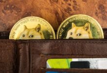 يقول المحللون: صناديق Dogecoin الاستثمارية ليست بعيدة عن المتوقع - اكتشف المزيد!