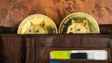 يقول المحللون: صناديق Dogecoin الاستثمارية ليست بعيدة عن المتوقع - اكتشف المزيد!