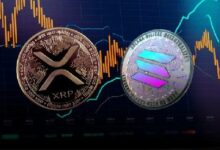 موافقة ETF سولانا وXRP تعتمد على انتخابات أمريكا 2024 - اكتشف التفاصيل!