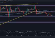 تحليل سعر الريبل: هل ستحتفظ XRP بقيمة 0.5$ بعد انخفاض أسبوعي بنسبة 3.5%؟ اكتشف الآن!