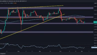 تحليل سعر الريبل: هل ستحتفظ XRP بقيمة 0.5$ بعد انخفاض أسبوعي بنسبة 3.5%؟ اكتشف الآن!