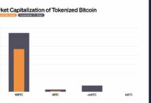 مخطط: تطور منافسي WBTC - اكتشف التفاصيل الآن!