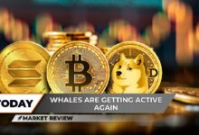 بدء موجة ارتفاع دوجكوين (DOGE) نحو $1، تحديات بيتكوين (BTC) عند $100,000: التفاصيل، اختبار سولانا (SOL) خلال 3 أيام! انقر لمعرفة المزيد