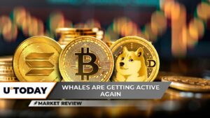 بدء موجة ارتفاع دوجكوين (DOGE) نحو $1، تحديات بيتكوين (BTC) عند $100,000: التفاصيل، اختبار سولانا (SOL) خلال 3 أيام! انقر لمعرفة المزيد