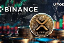 اكتشفوا: قفزة XRP إلى أعلى مستوى على منصة بينانس!