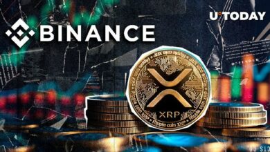 اكتشفوا: قفزة XRP إلى أعلى مستوى على منصة بينانس!