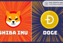 MetaMask تبرز هذا الإنجاز لـ Shiba Inu وDogecoin – اكتشف المزيد الآن!