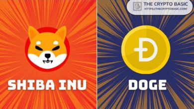 MetaMask تبرز هذا الإنجاز لـ Shiba Inu وDogecoin – اكتشف المزيد الآن!