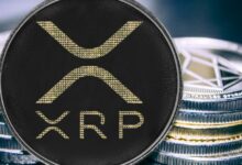 سعر XRP يبقى صامدًا فوق $0.50 بينما تتدهور الأسواق - اكتشف الأسباب!