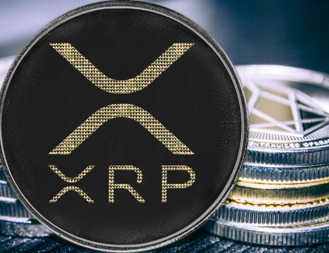 سعر XRP يبقى صامدًا فوق $0.50 بينما تتدهور الأسواق - اكتشف الأسباب!