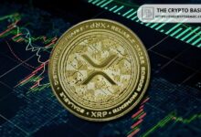 محللون يؤكدون توسع نطاقات بولينجر لـ XRP بعد 19 شهرًا من الانكماش: هل نحن على أعتاب انتعاش ضخم؟ اكتشف الآن!