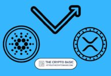 محلل يتوقع سعر XRP إذا وصل Cardano إلى 1.89 دولار - اكتشف التوقعات الآن!