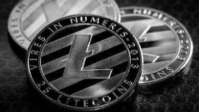 هل Litecoin مستعدة لارتفاع سعر كبير بنسبة 369% قريبًا؟ اكتشف الآن!