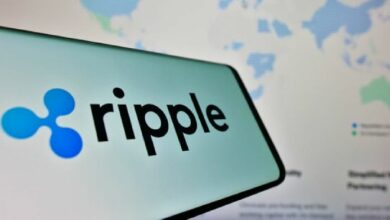 شبكة RippleNet وXRP: كيفية إزالة المخاطر من المدفوعات عبر الحدود وفقاً لأستاذ بجامعة نيويورك – اكتشف التفاصيل!