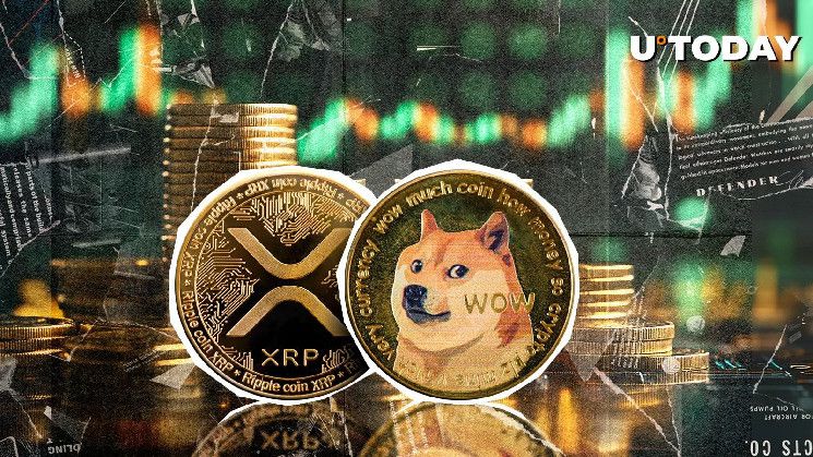 قفزة دوجكوين تتجاوز XRP بزيادة سعرية 50٪: اكتشف التفاصيل